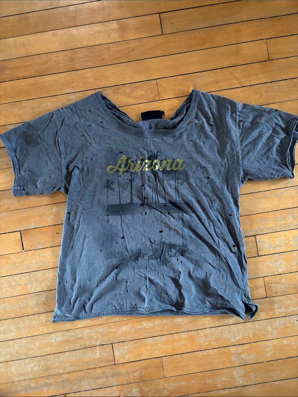 EUC Distressed Arizona Short Sleeve Graphic Tee - Gray